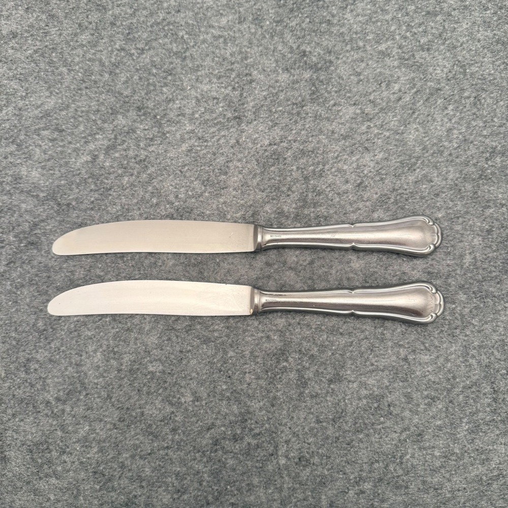 Eberhard Schaaf Solingen Dinner Knives Set of 2 Silver Excellent Rostfrei Steel